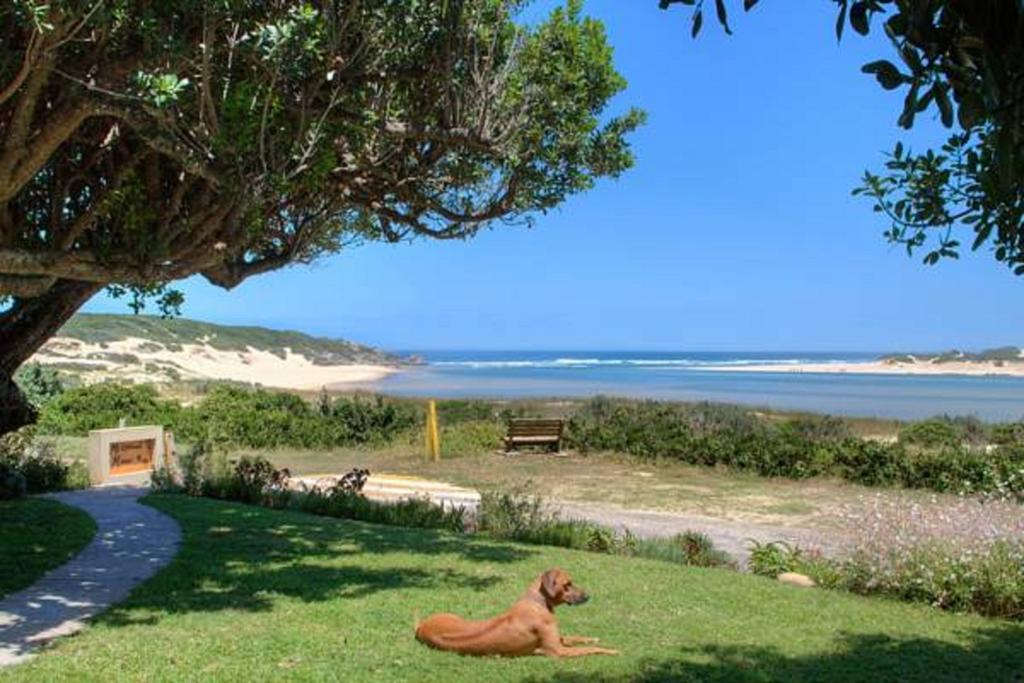 Milkwood Manor B & B Kenton on Sea Buitenkant foto